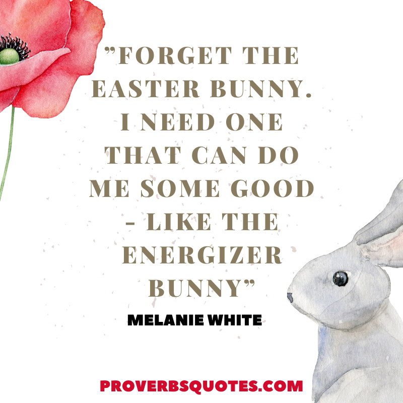 Forget the Easter bunny. I need one that can do me some good - like the Energizer bunny.