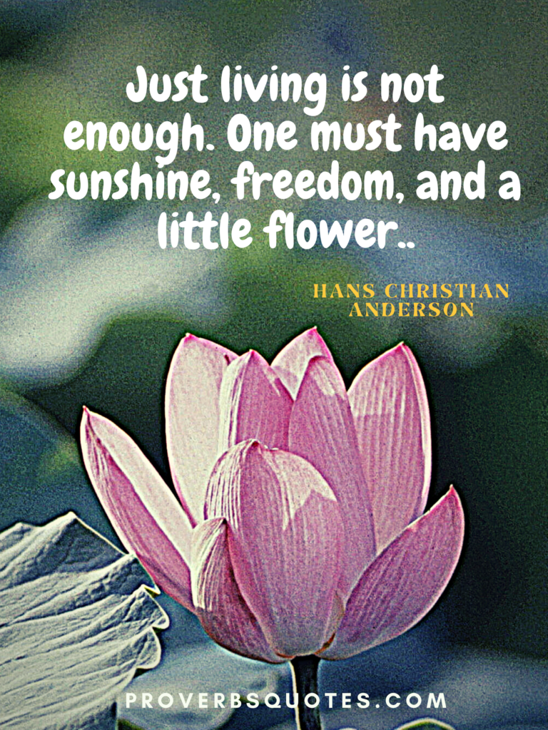 Just living is not enough. One must have sunshine, freedom, and a little flower.