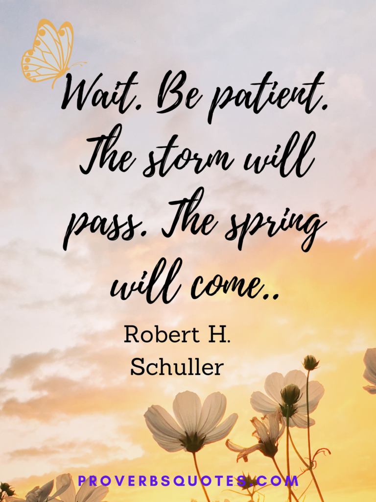 Wait. Be patient. The storm will pass. The spring will come.