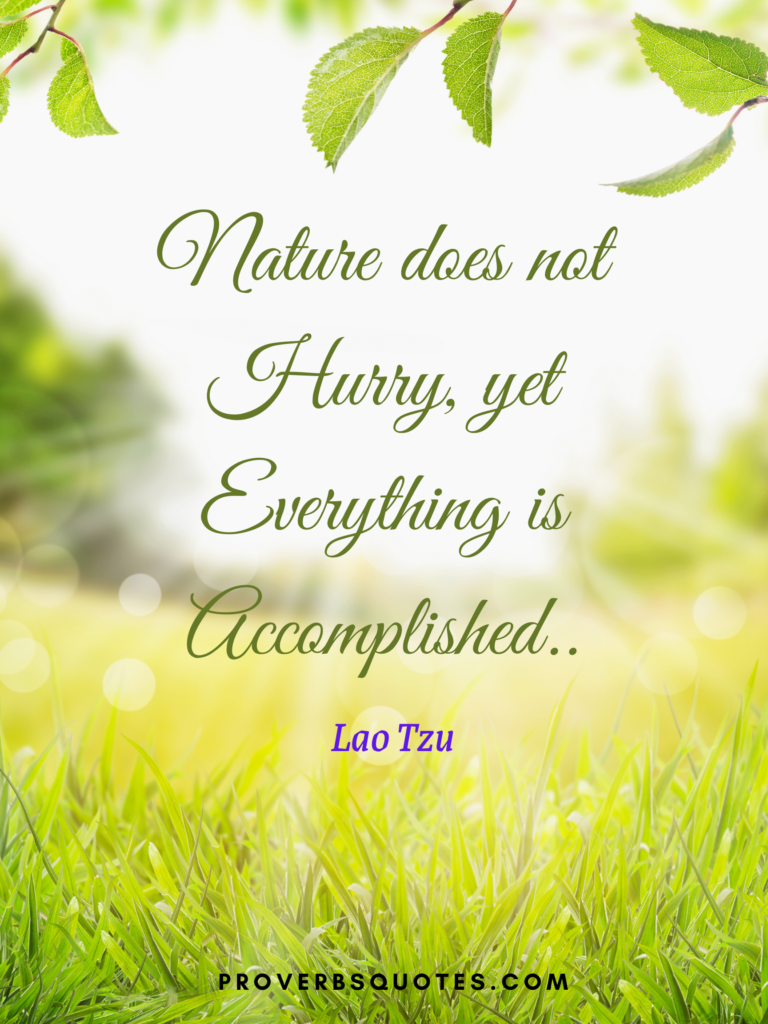 Nature does not hurry, yet everything is accomplished..