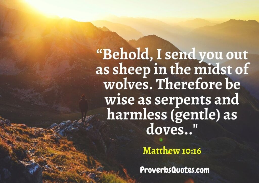 “Behold, I send you out as sheep in the midst of wolves. Therefore be wise as serpents and harmless[a] as doves.